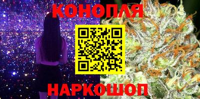 индика Заводоуковск