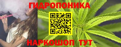 индика Заводоуковск