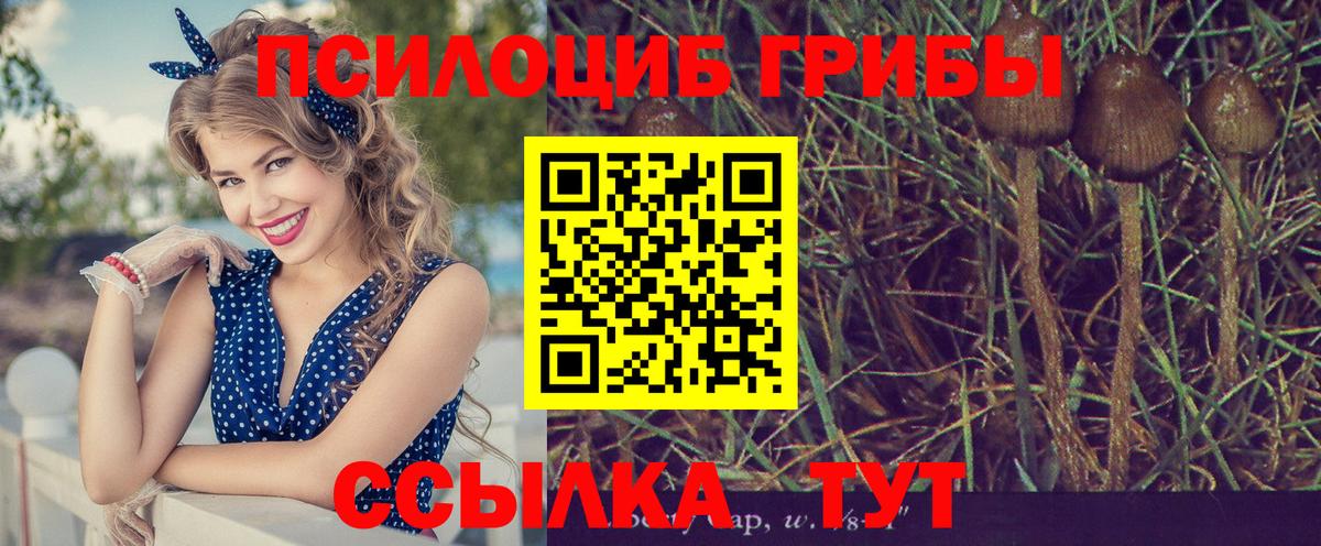 Псилоцибиновые грибы прущие грибы Таганрог