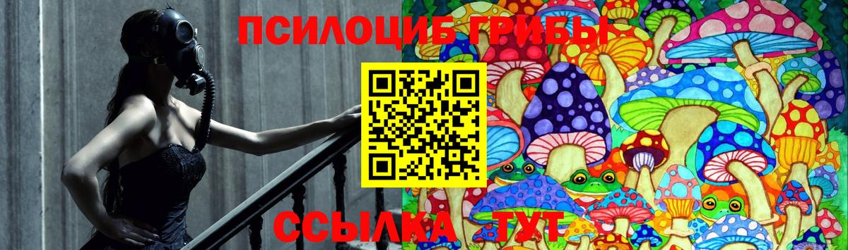 Галлюциногенные грибы мицелий  Вход с VPN  Таганрог  Галлюциногенные грибы Psilocybe 